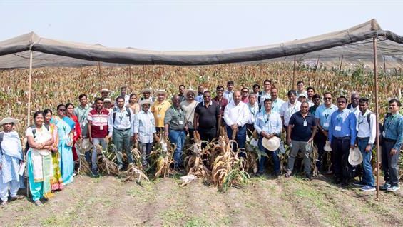 ICRISAT’s Sorghum Scientists’ Field Day Highlights Over 13,000 Advanced Breeding Innovations