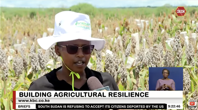 Building Agricultural Resilience: Farmers Sensitized on Adopting Dryland Crops