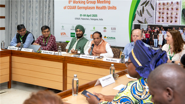 Safeguarding Global Food Security, CGIAR Germplasm Health Units Pave the Way for Safe Seed Exchange
