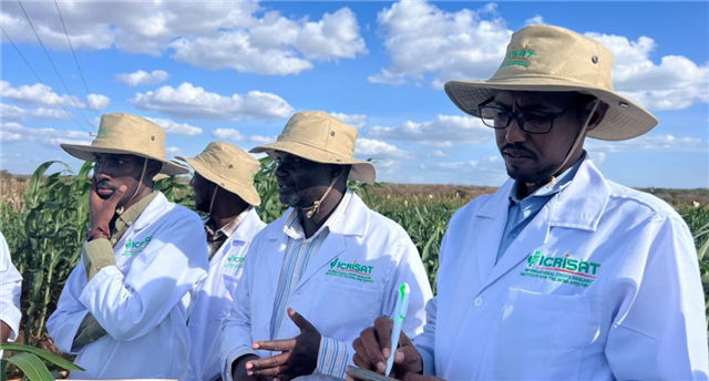 In Harmony with Nature: A Dryland Perspective in Development and Biodiversity