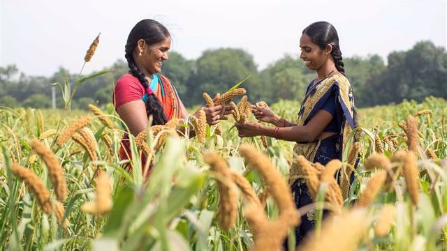 South-South Cooperation: Crucial for Transforming Agriculture