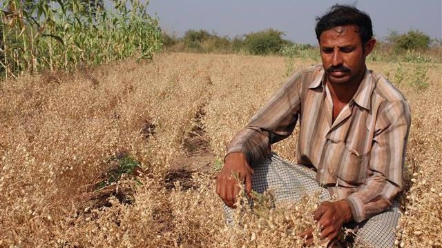 Global South Unites to Strengthen Agricultural Resilience and Share Solutions for the World’s Most Pressing Challenges