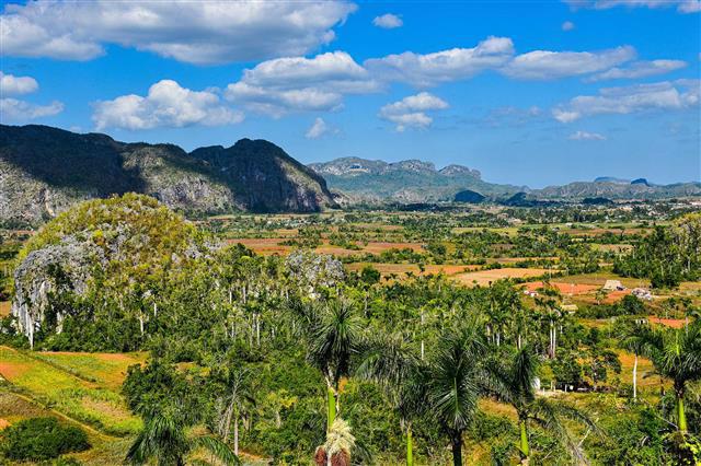 ICRISAT Brings Frontier Agricultural Science to the Caribbean in Landmark Partnership