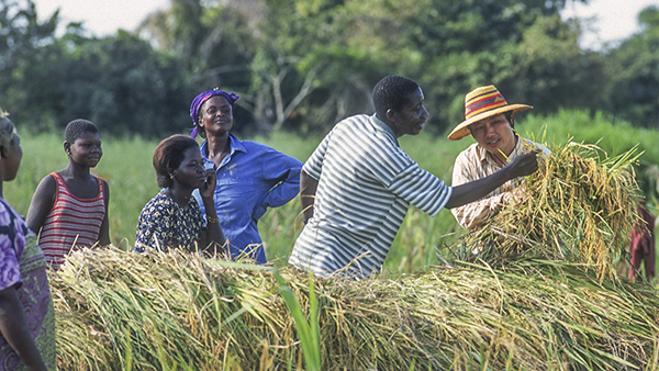 UN International Day for South–South Cooperation: Global Leaders Converge at ICRISAT Webinar and Pledge to Share Scalable Solutions