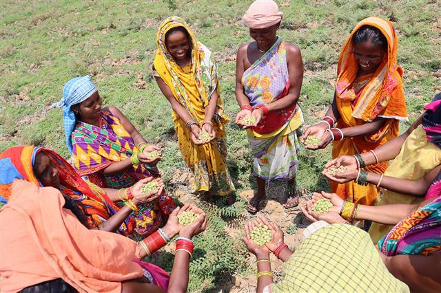 Food, farms, and the future: Why transforming agri-food systems is key to Viksit Bharat 2047