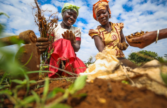UN World Soil Day 2025: Healthy Soils for Healthy Cities