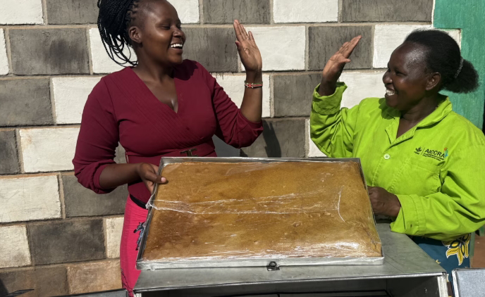 Kenyan Women’s Agro-Processing Gets a Boost Through ICRISAT Training and Energy-Efficient Ovens