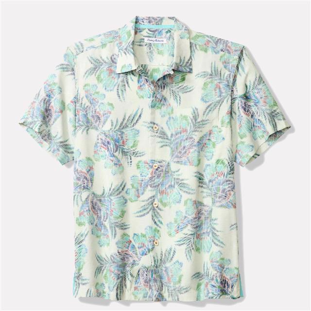 Tommy Bahama