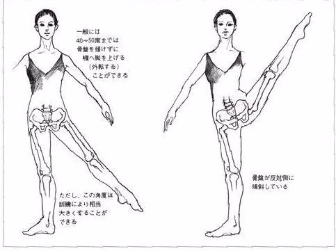 体幹の側屈