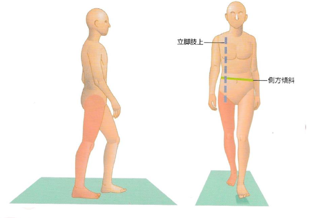 歩行時の体幹側屈1