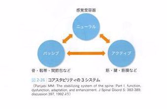 Panjabiの脊柱安定化モデル
