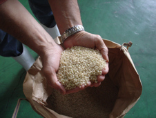 Unmilled Brown Rice