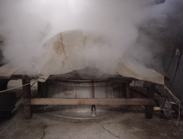 Rice being blasted with steam