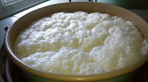Foaming moromi (fermenting mash)
