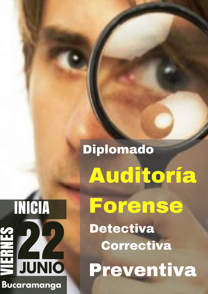 Diplomado de auditoria forense