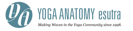 Yoga Anatomy esutra: making waves in the Yoga community since 1998