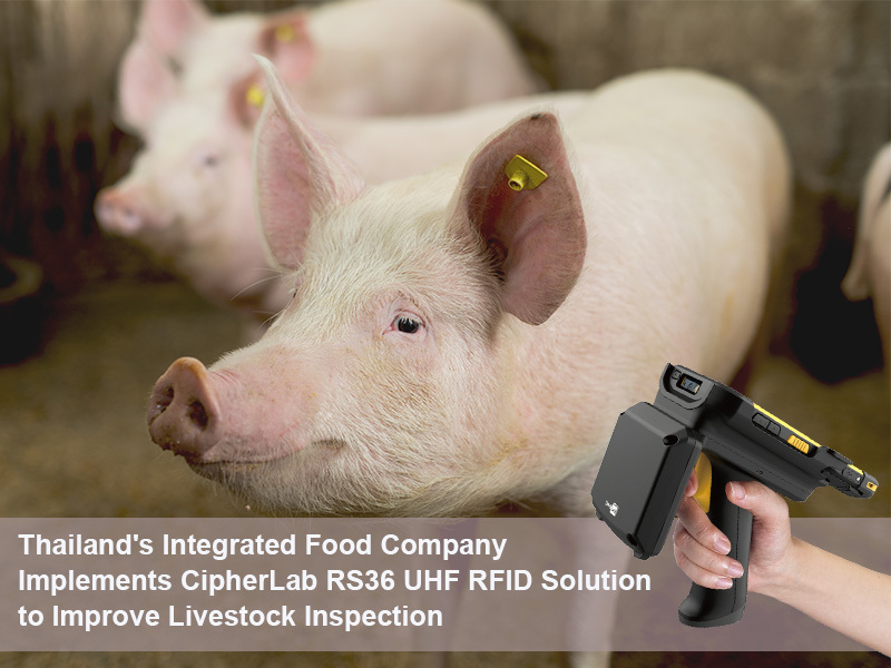 Thailand's Integrated Food Company Implements CipherLab RS36 RFID UHF Solution to Improve Livestock Inspection