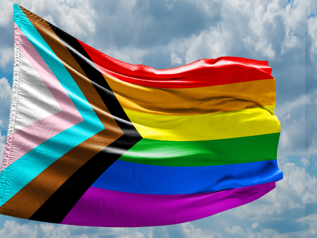 Progress pride flag (rainbow with brown and black stripes and trans flag colors)