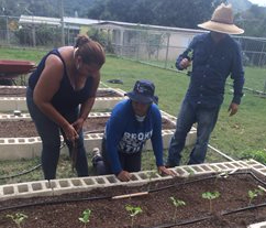Three adults working in a community garden.