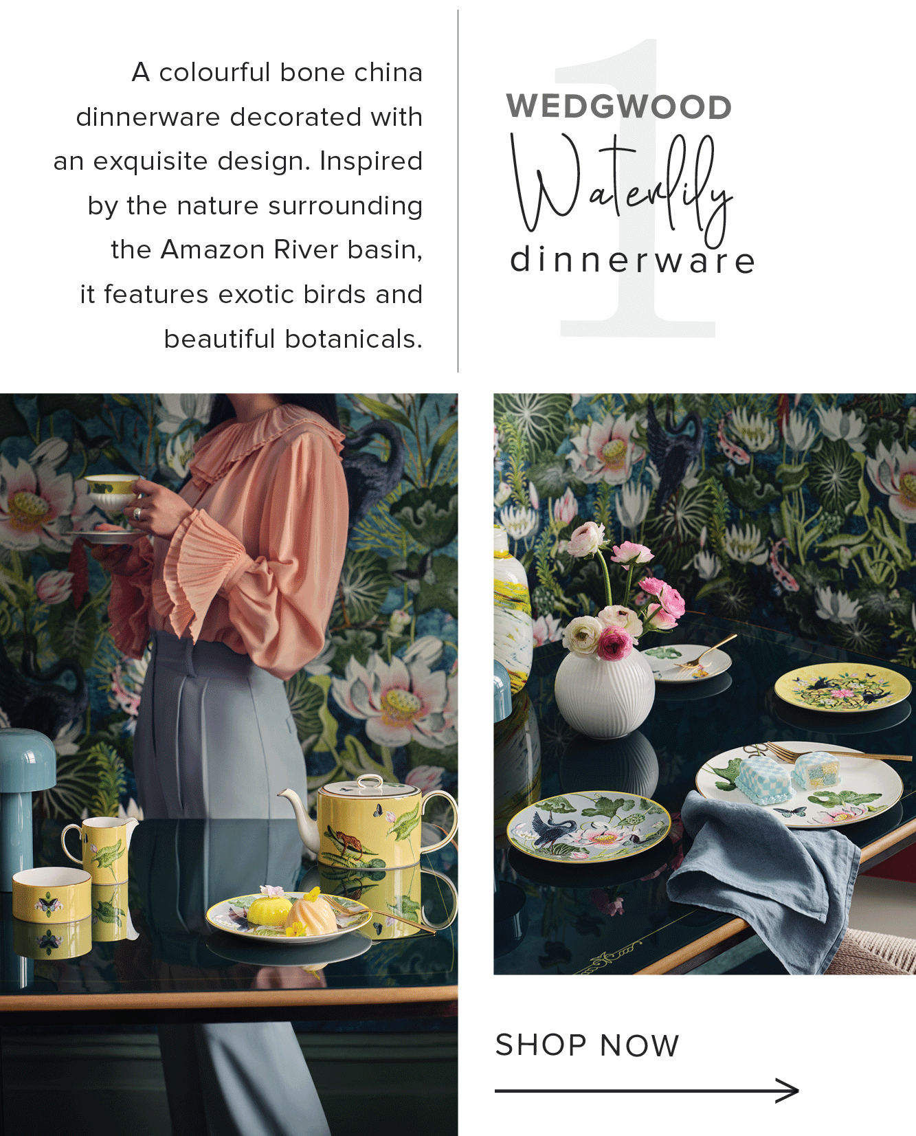 A colourful bone china dinnerware decorated with WEDGWOOD an exquisite design. Inspired T by the nature surrounding a e 3 the Amazon River basin, dinnerware it features exotic birds and beautiful botanicals. SHOP NOW 