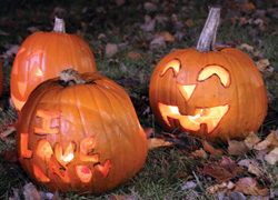 Pumpkins in the Park