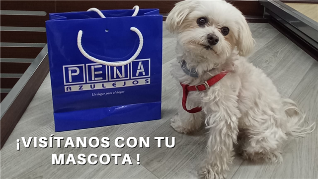 Ven con tu mascota a nuestras tiendas