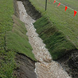 Turf used for Erosion control