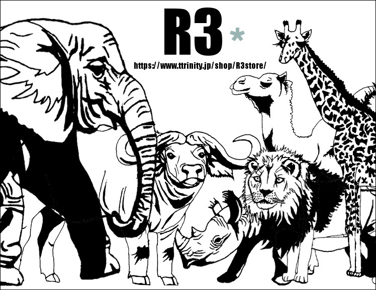 R3store