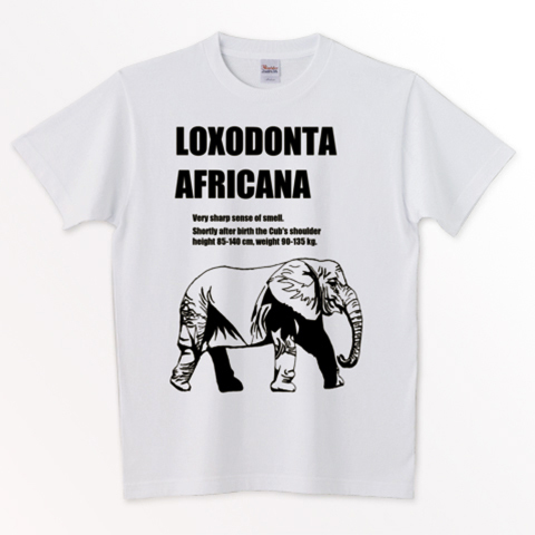 LOXODONTA AFRICANA