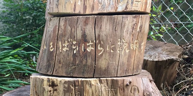 関優花 個展「私をばらばらに説明する」