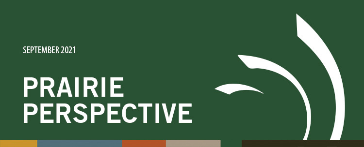Prairie Perspective