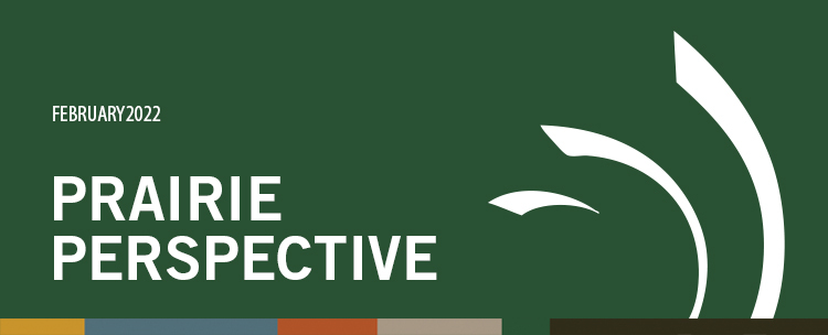 Prairie Perspective