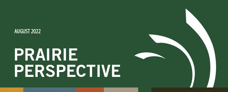 Prairie Perspective