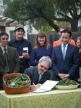 Signing ordinance Signing ordinance