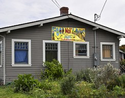 Food Not Lawns house