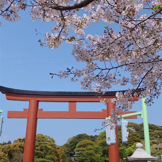 写真3
