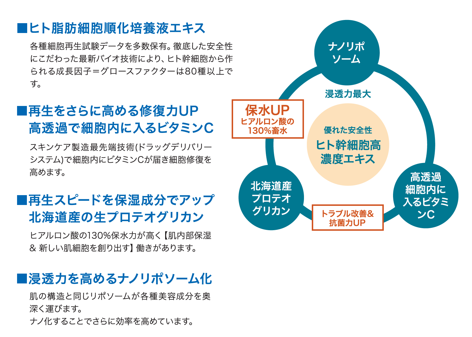 美白・再生ケア美容液使用イメージ