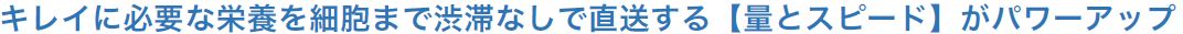 マルチビタミンホワイトSP