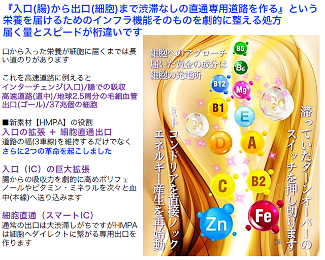 マルチビタミンホワイトSP成分2