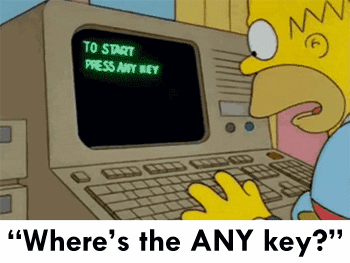 Homer Simpson on the computer