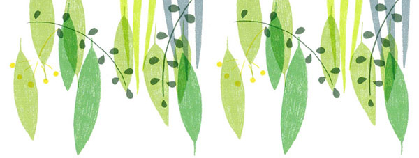 5×緑の学校 2017