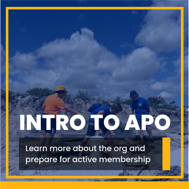 Download the APO Mobile Resource App