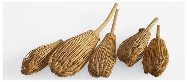 Khella sold as toothpicks