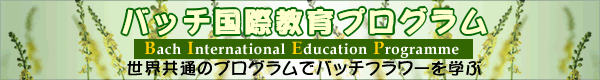 バッチ国際教育プログラム