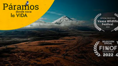 comunicacion@redceres.org