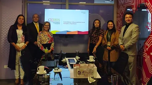 comunicacion@redceres.org