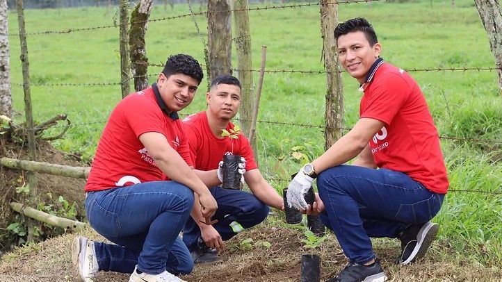 comunicacion@redceres.org