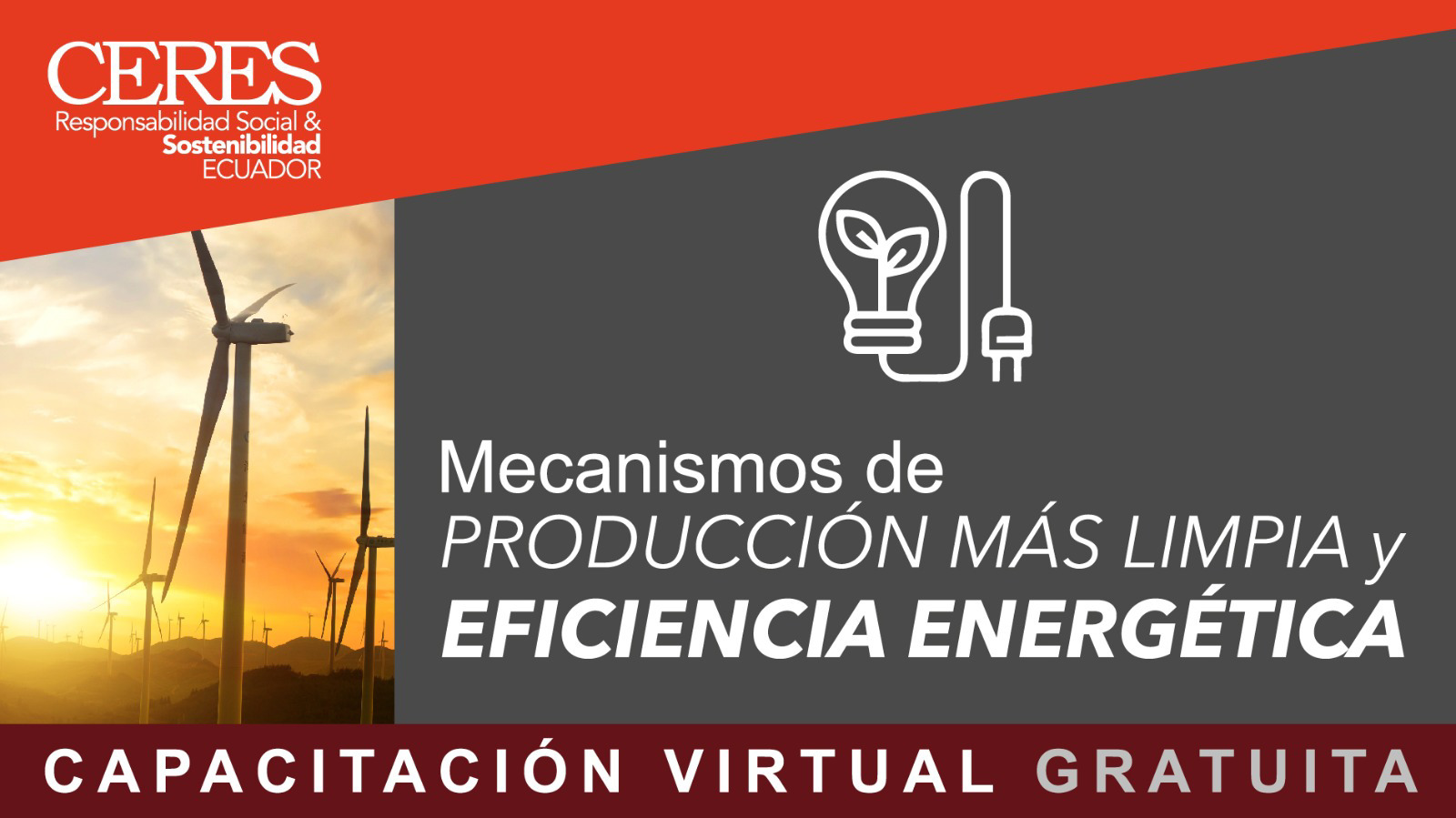 comunicacion@redceres.org