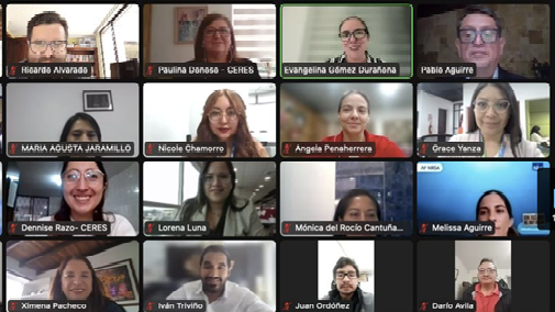 comunicacion@redceres.org
