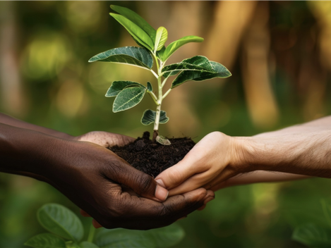 comunicacion@redceres.org